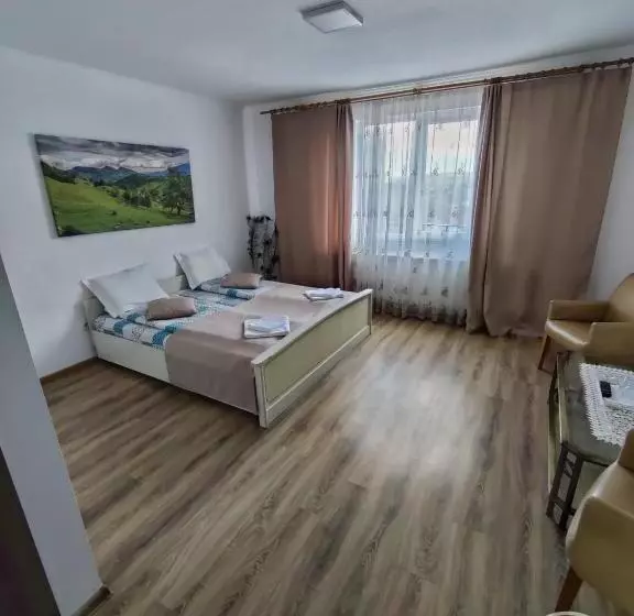 ペンション Casa Cosmin Cincu