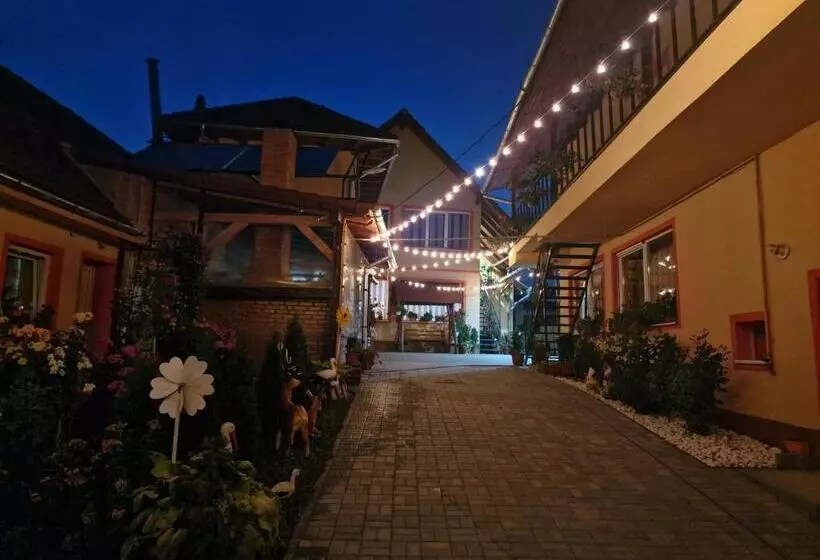 ペンション Casa Cosmin Cincu