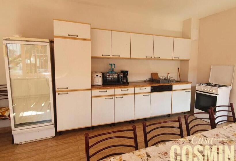 펜션 Casa Cosmin Cincu