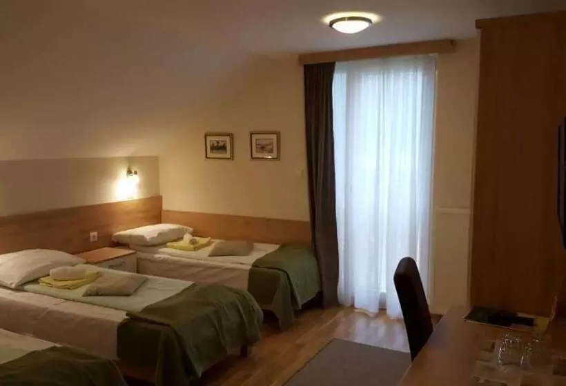 پانسیون Guest House Vila žunić
