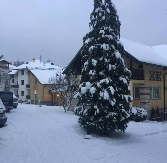 پانسیون Guest House Vila žunić