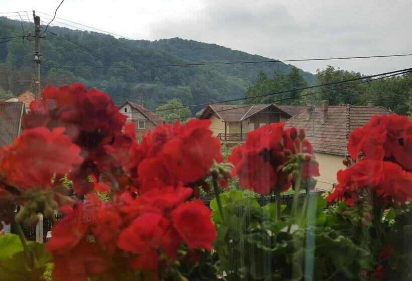 Pensiunea Lőrincz  Panzió