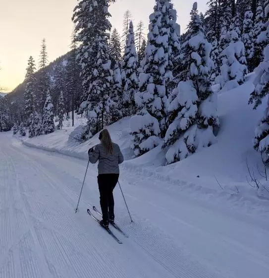 Lomakeskus Loge Glacier National Park