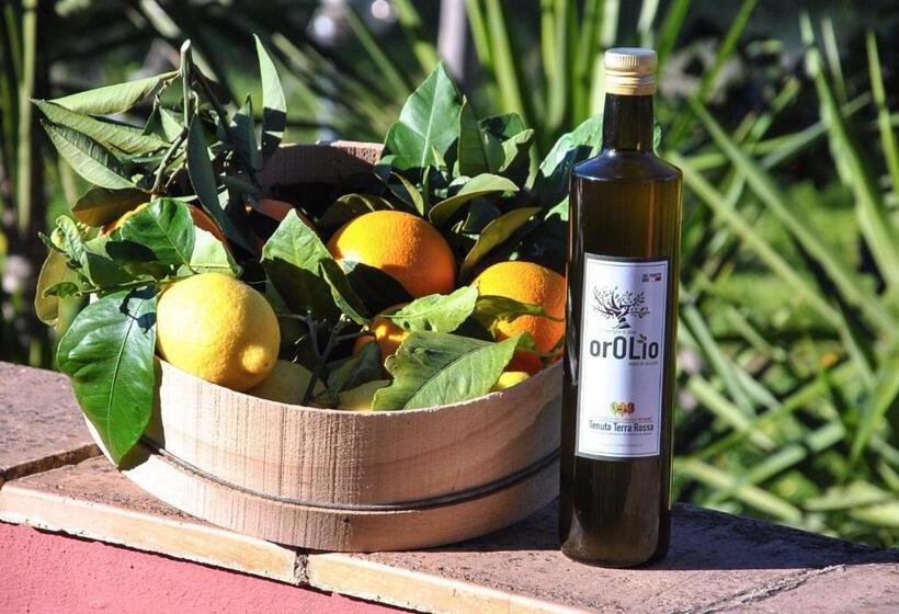 مبيت وإفطار Tenuta Terrarossa