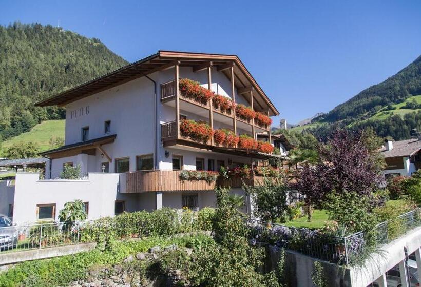 酒店 Gasthof Peter