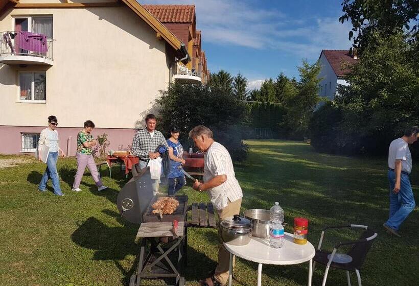 Отель Ingrid Panzió