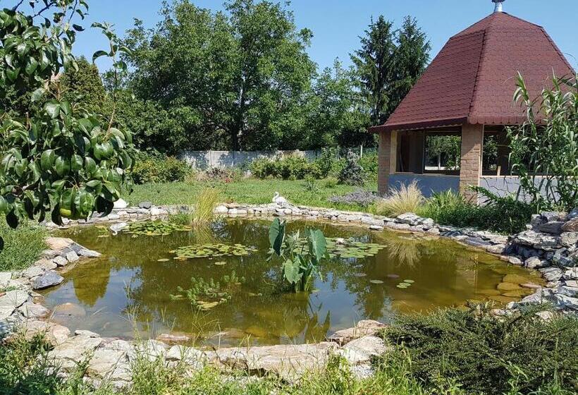 Отель Ingrid Panzió