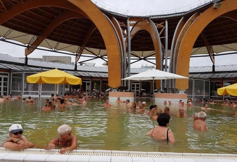 Отель Ingrid Panzió