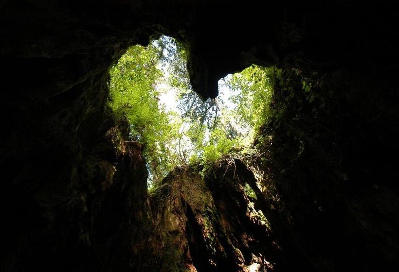 Pensione Yakushima Refresh