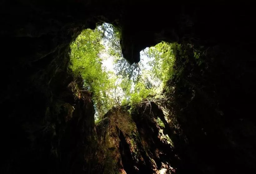 Majatalo Yakushima Refresh