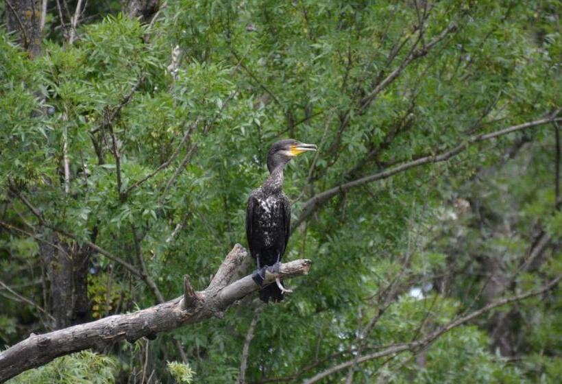 Pension Zapovedni Rai