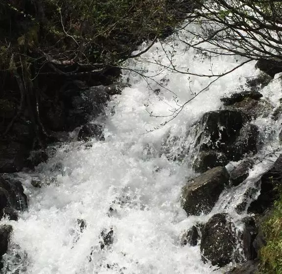 ペンション Gästehaus Bruggerhof