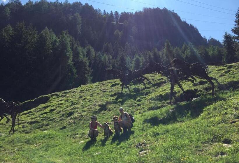 膳宿费 Gästehaus Bruggerhof