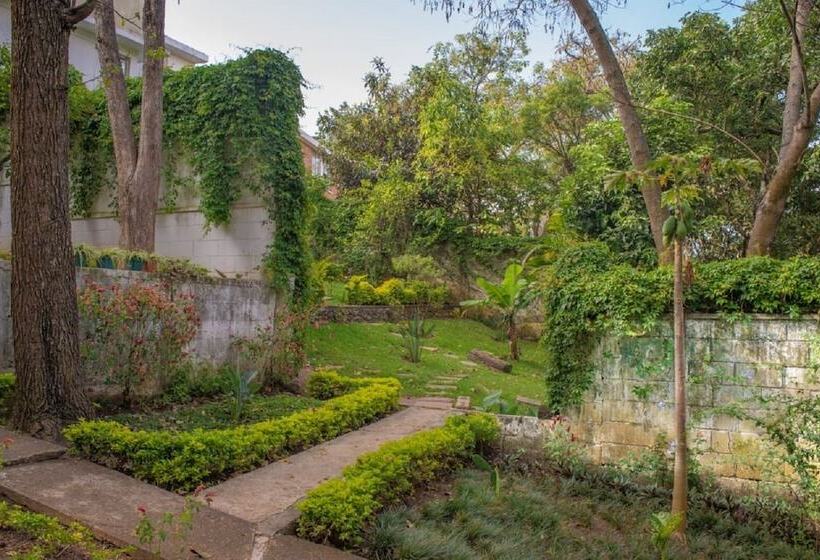 تختخواب و صبحانه In & Out