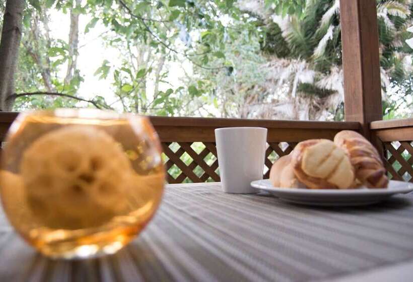 تختخواب و صبحانه In & Out