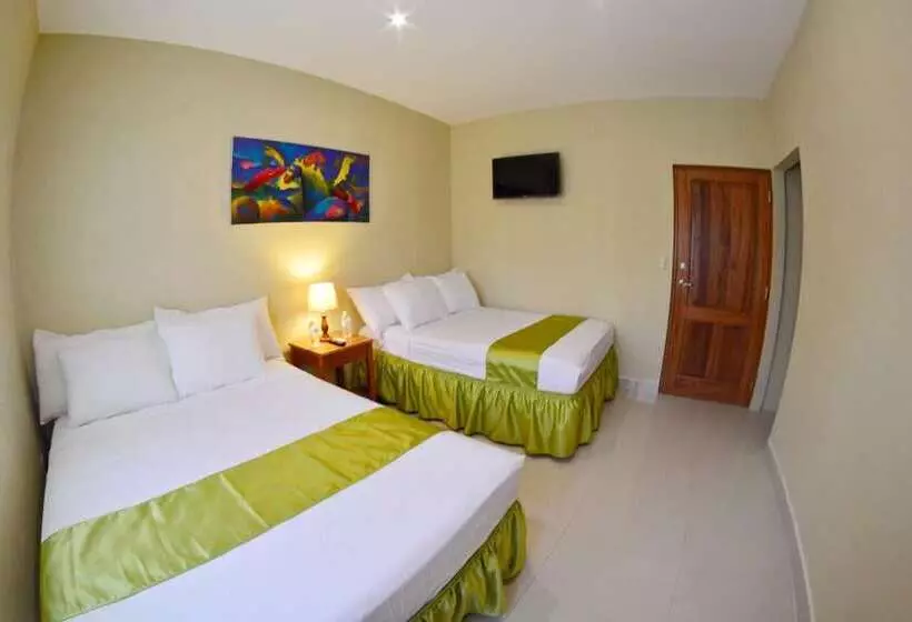 تختخواب و صبحانه Hostal Santa Martha