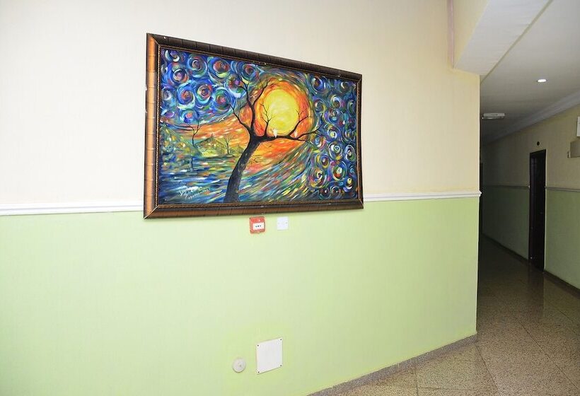 هتل Bafra International