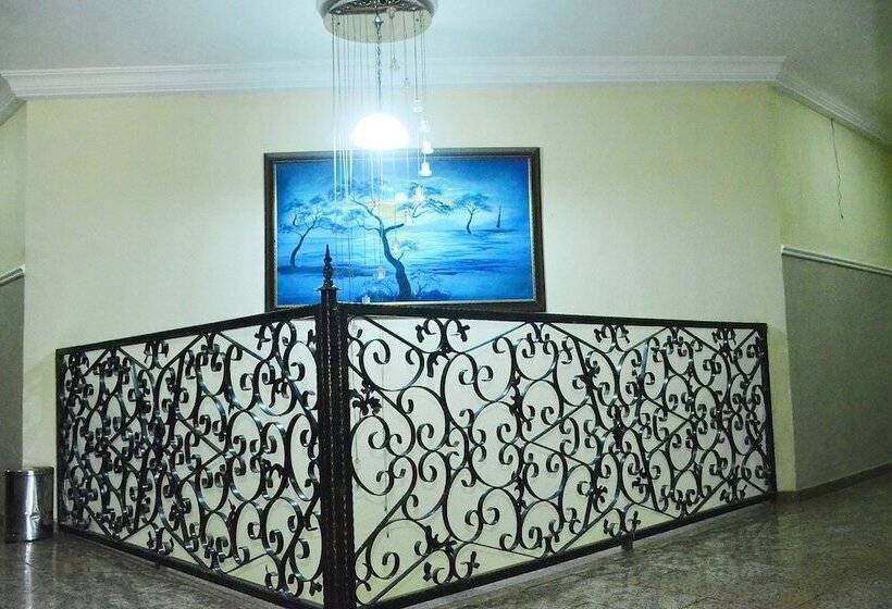 هتل Bafra International