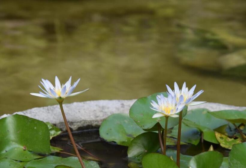 Le Mirage Villa Santai