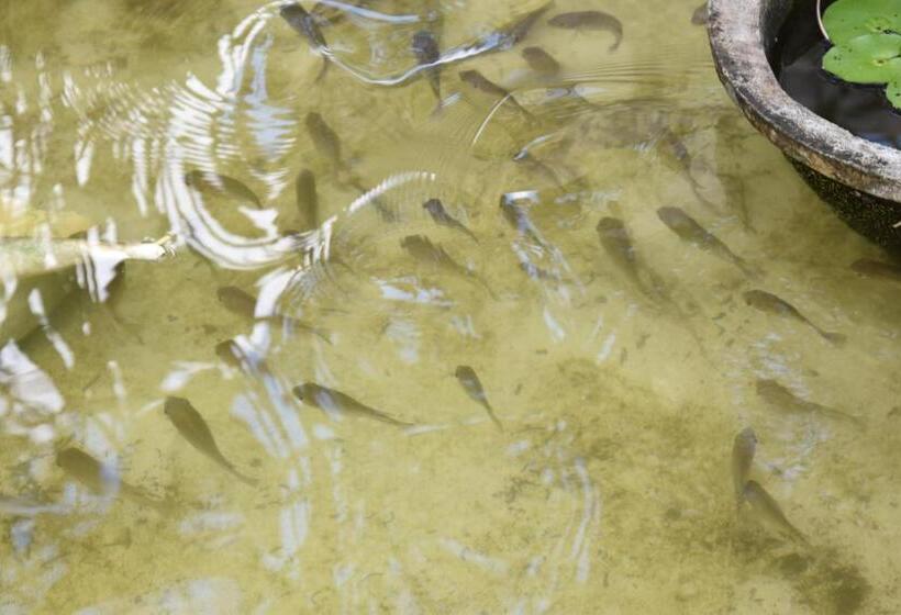 Le Mirage Villa Santai