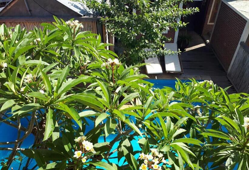 ホテル Amed Sunset Beach