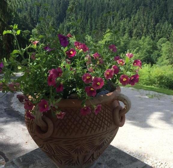 هتل Hunting Lodge Vitkov