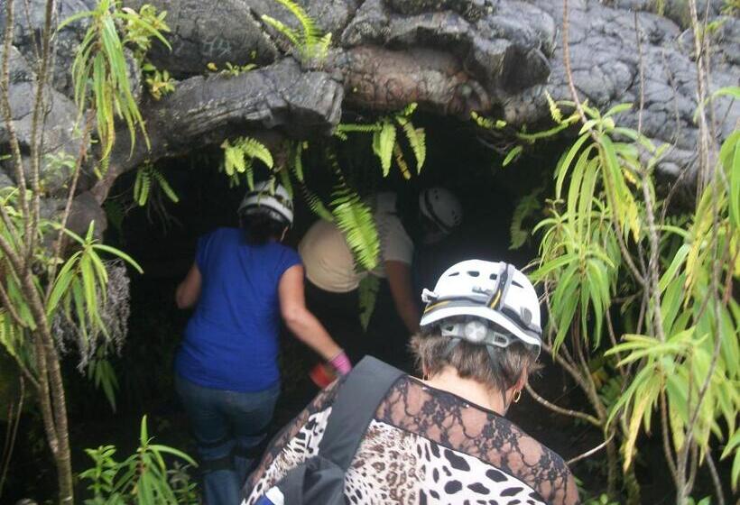 Le Rubinjo Appartement D Hôtes