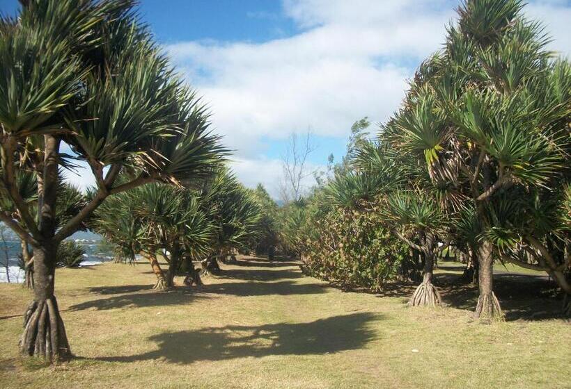 Le Rubinjo Appartement D Hôtes