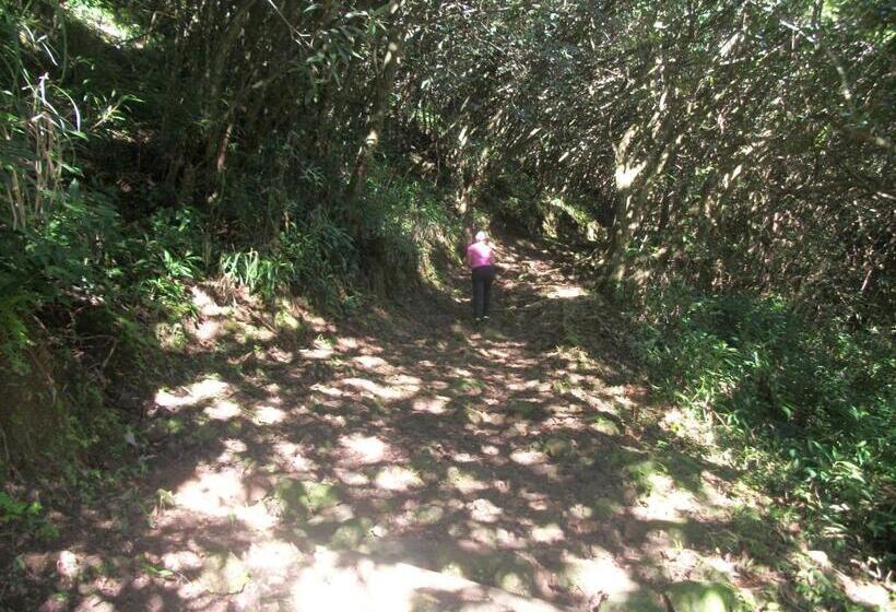 Le Rubinjo Appartement D Hôtes