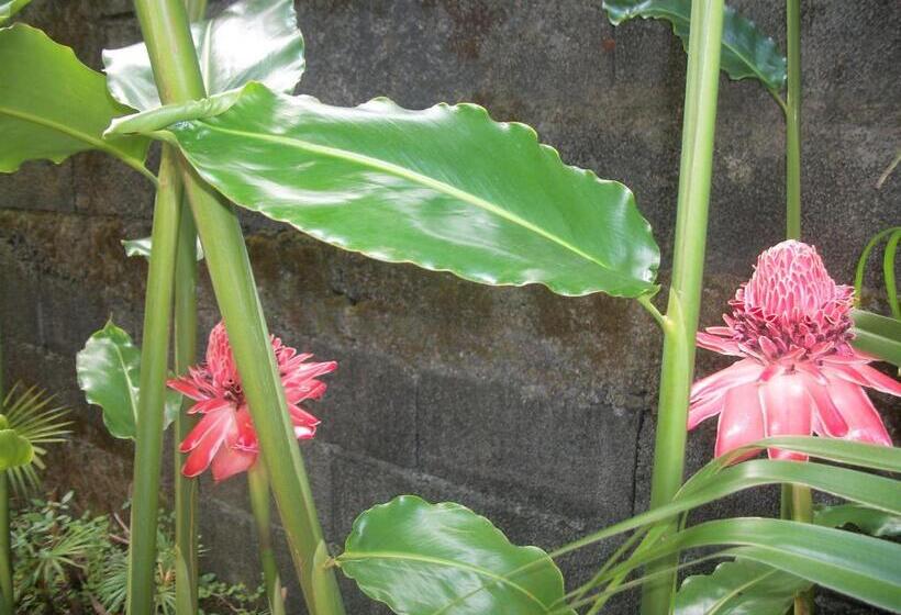 Le Rubinjo Appartement D Hôtes