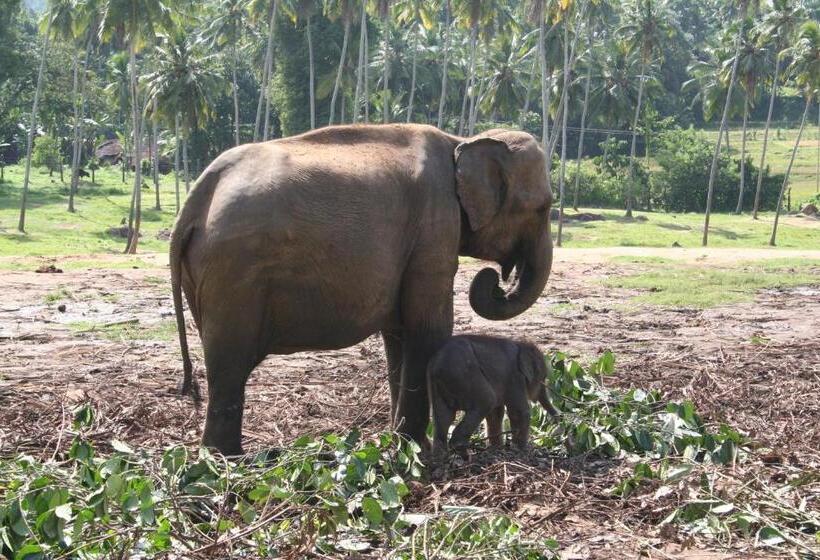 Resort The Long Hostel