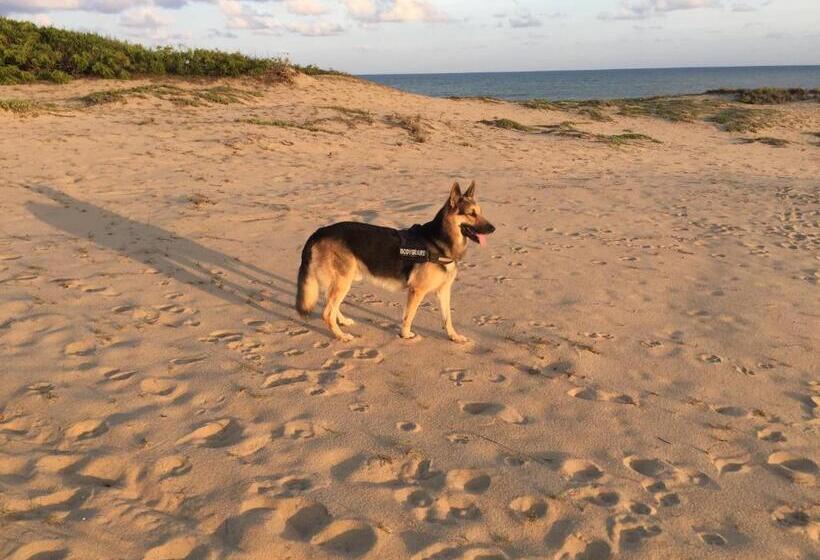 Resort The Long Hostel