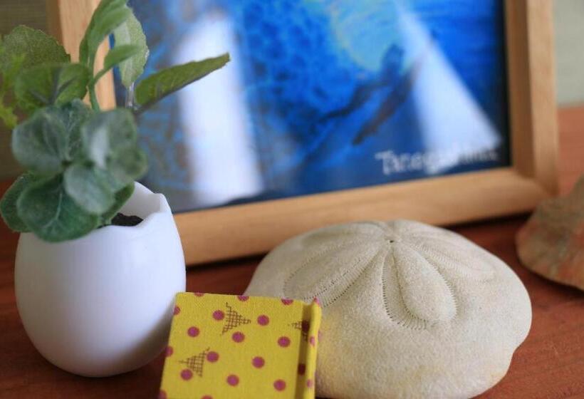 旅館 Tanegashima Minshuku Yuyu