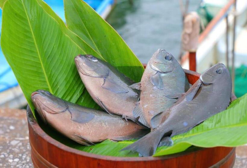 旅館 Tanegashima Minshuku Yuyu