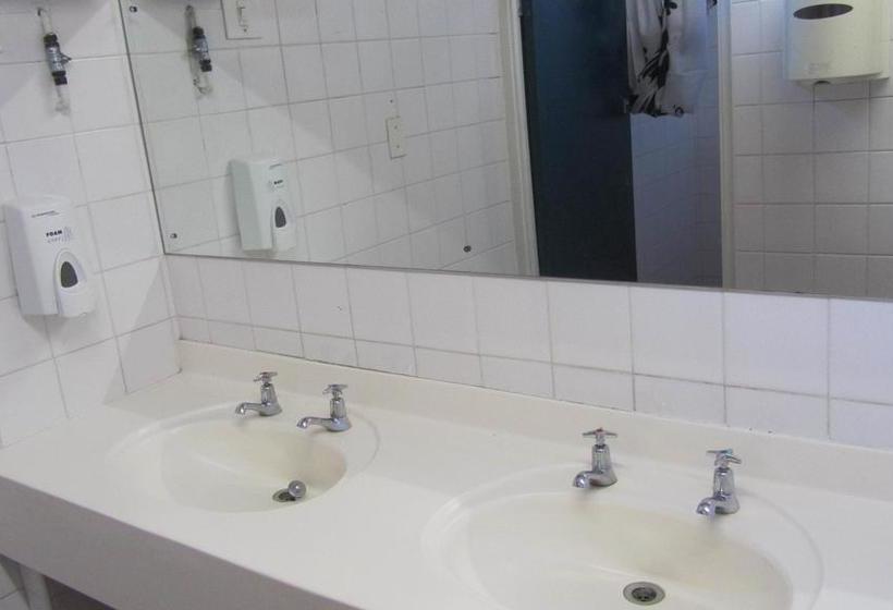 هاستل Train Lodge