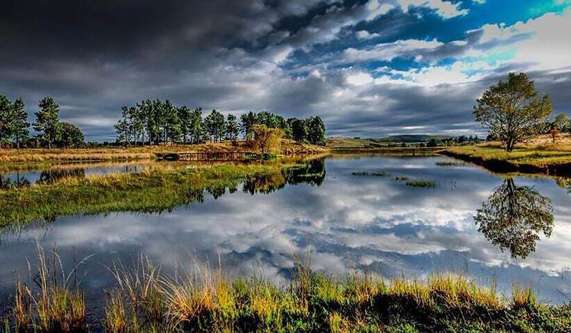 住宿加早餐 The Farside Country Manor