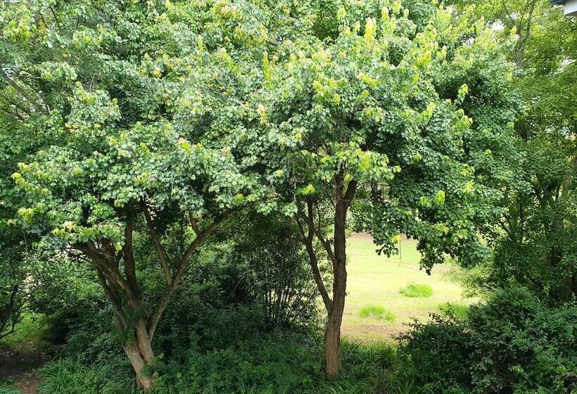 住宿加早餐 The Farside Country Manor