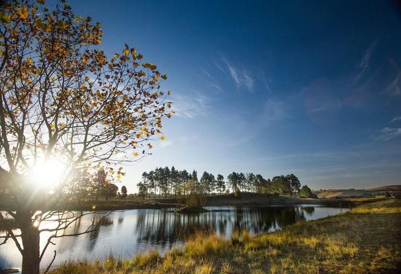 住宿加早餐 The Farside Country Manor