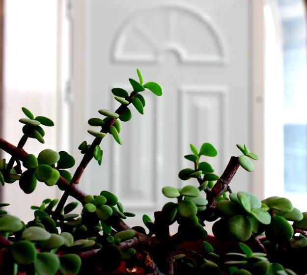 B&b Coração Ponta Do Sol