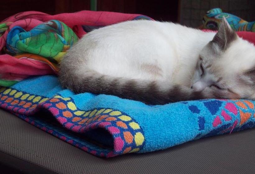 B&b Coração Ponta Do Sol