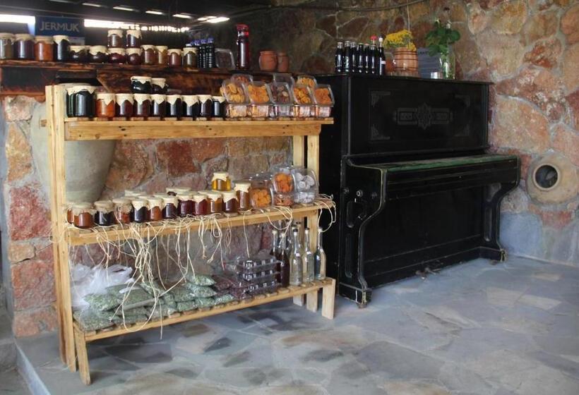 تختخواب و صبحانه Areni Wine Art