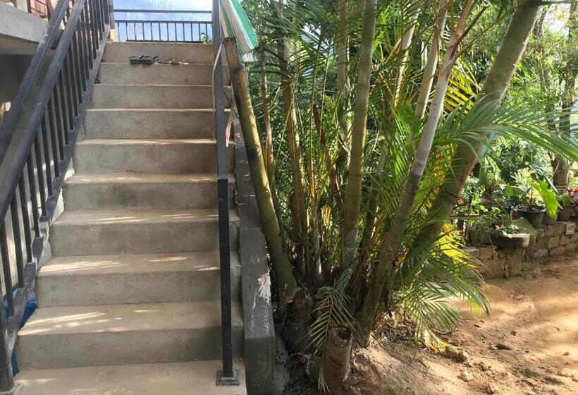 ベッドアンドブレックファースト Ridge View Guest House  Ella