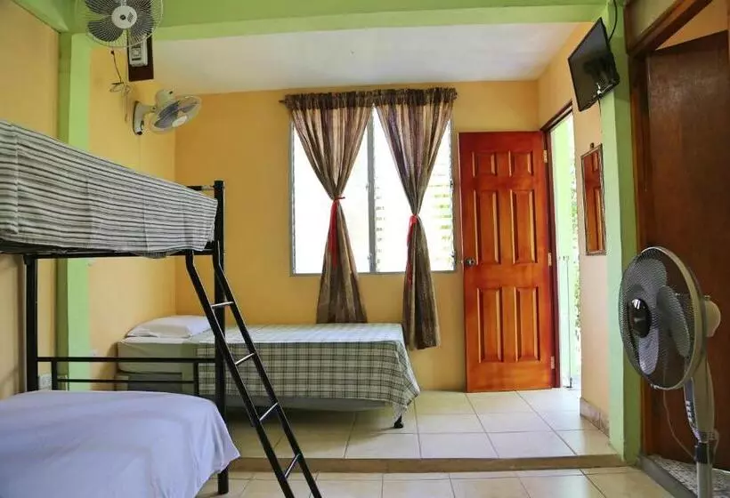 ベッドアンドブレックファースト Hostal San Antonio