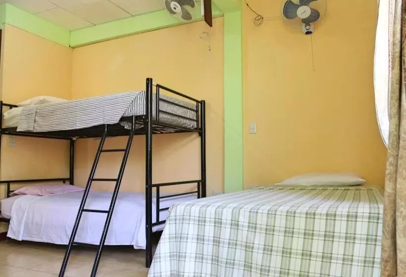 ベッドアンドブレックファースト Hostal San Antonio