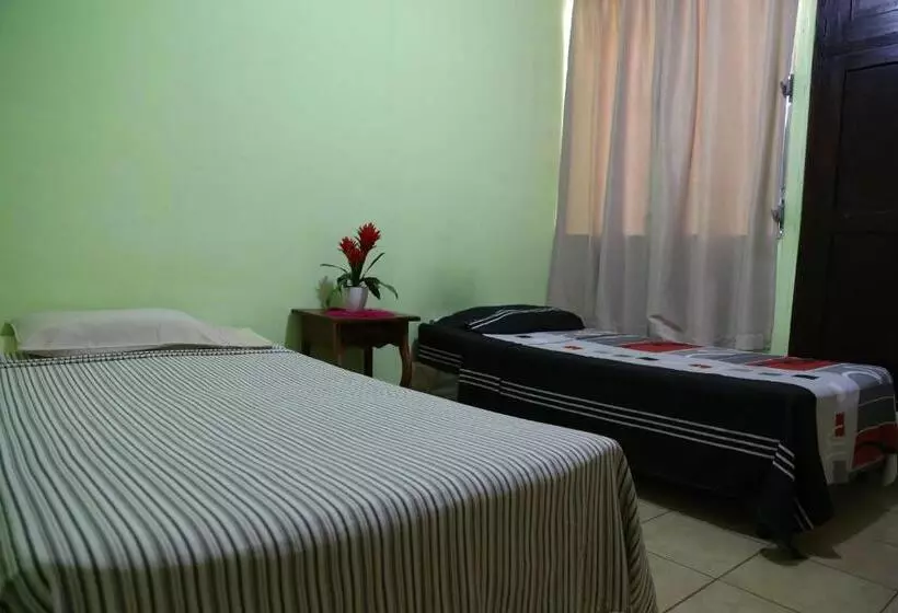 ベッドアンドブレックファースト Hostal San Antonio