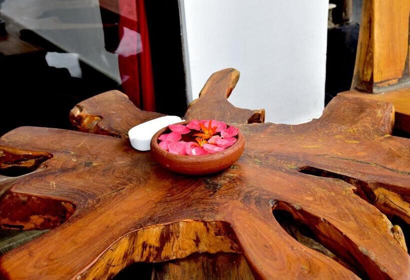 Nocleg ze śniadaniem Romance In Ella