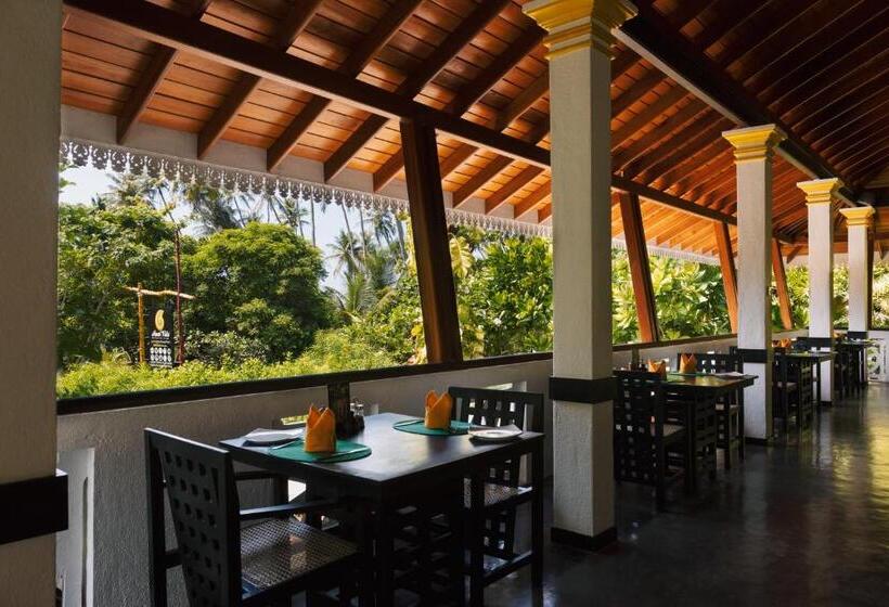 בית מלון כפרי Amal Beach