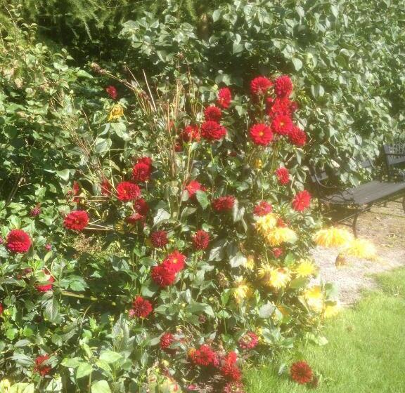 Give Bed & Breakfast