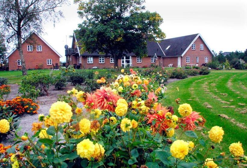 Give Bed & Breakfast