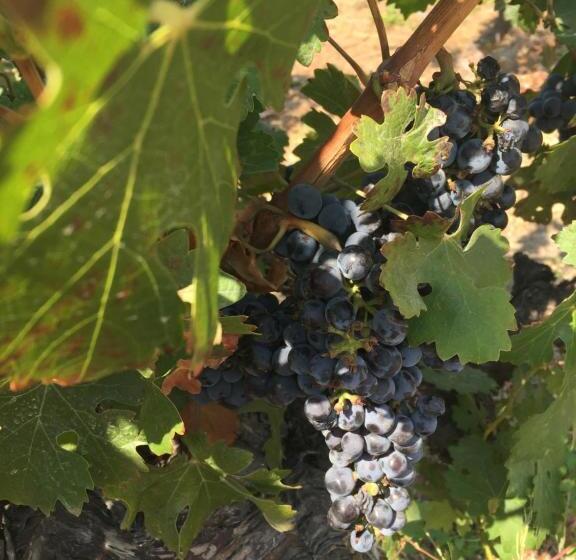 هتل Casa De Campo